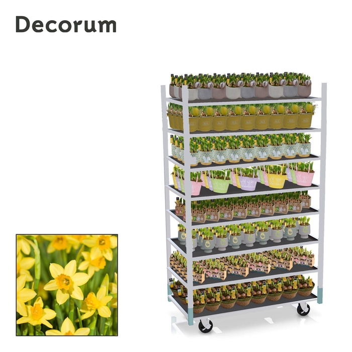 <h4>CC EASTER MAXI 2026 - 1 prijs per stuk, incl. fust</h4>