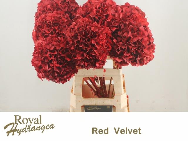 <h4>HYDR OV KLB H%</h4>