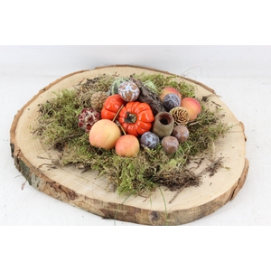 arr4 Sierfruit PP - Hout schijf x2