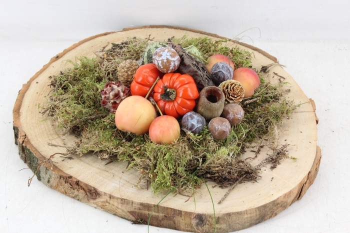 <h4>arr4 Sierfruit PP - Hout schijf x2</h4>