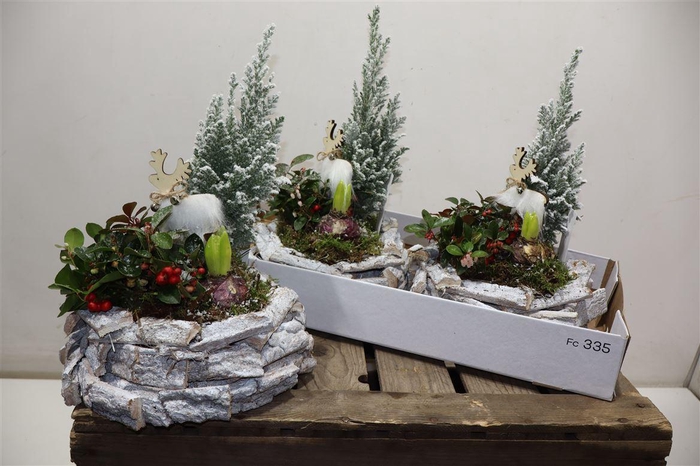 Arr Tuinplanten In Houten Bakje