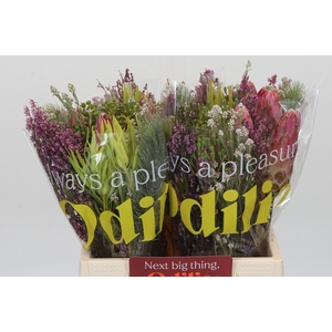 BQ Kaaps Groen Rivermix