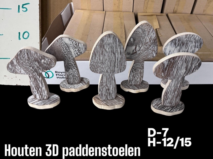 <h4>HUIS EN TUINDECO H%</h4>