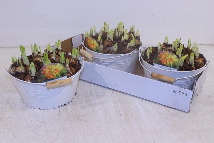 <h4>ARR N TETE A TETE</h4>