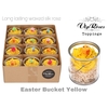 R GR EASTER BUCKET YELLOW