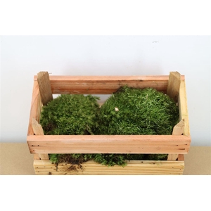 Mos Bolmos Mini P Kist (consumenten Verpakking)