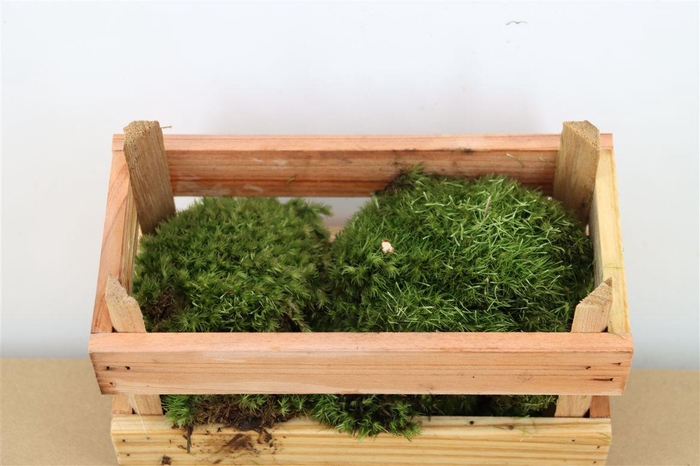 <h4>Mos Bolmos Mini P Kist (consumenten Verpakking)</h4>