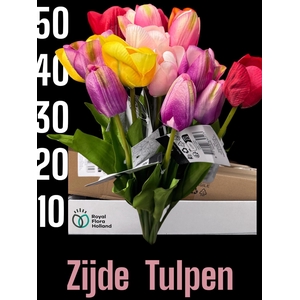HUIS EN TUINDECO H%