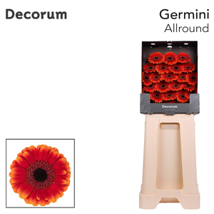 Germini Allround Diamond