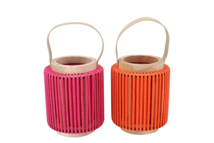 Cruz Orange Fuchsia Lantern Round Ass 13x16x20cm