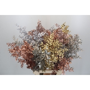 Dried Ruscus Aculeatus Metallic Mix