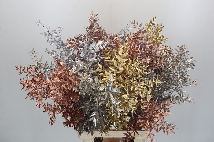 <h4>Dried Ruscus Aculeatus Metallic Mix</h4>