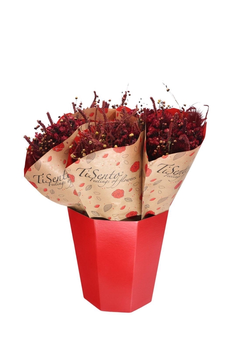 <h4>DROOGBL BEWERKT H%</h4>