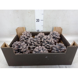 Decoratieve materialen   ...H%