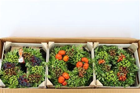 <h4>SIERFRUIT KRANS H%</h4>