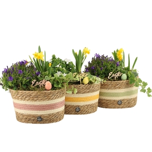 70893: Easter outdoor arrangement