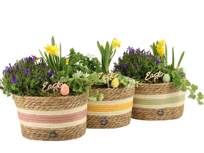 <h4>70893: Easter outdoor arrangement</h4>
