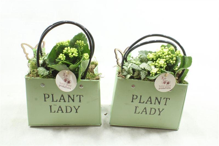 <h4>1. ZKE01 GREEN BAG</h4>