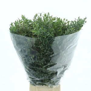 Euca Parvi 200 Gram