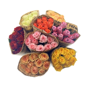 BQ Mono Rosa Mixed 10 stems