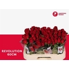 R Gr Revolution