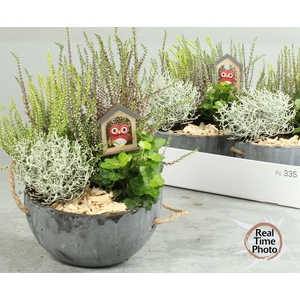 ARR TUINPLANTEN