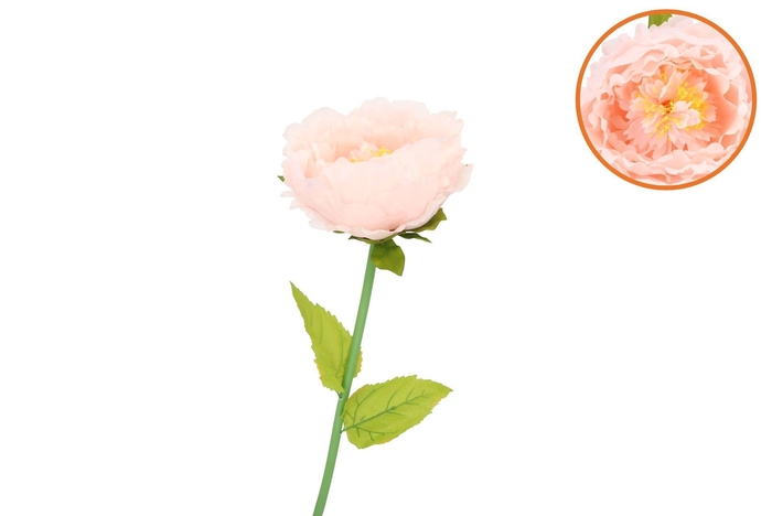 Silk Amazing Peony Beauty Peach Xl 38x115cm