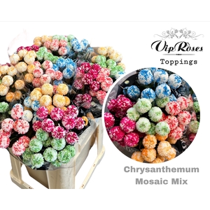 Chr T Mosaic Mix