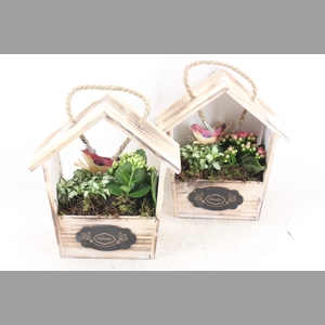 arr2 TD - Hout huis puntdak - roze/wit