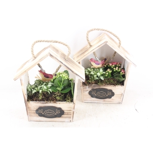 arr2 TD - Hout huis puntdak - roze/wit