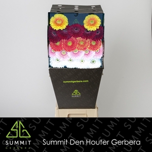 Germini Pomponi Mix Pomponi Diamond per kaart