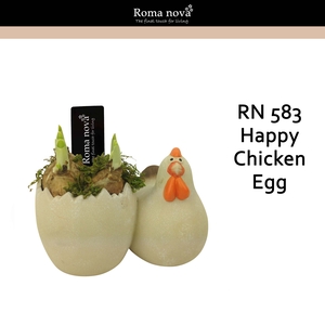 Narcis Rom 583 Happy Chicken Egg