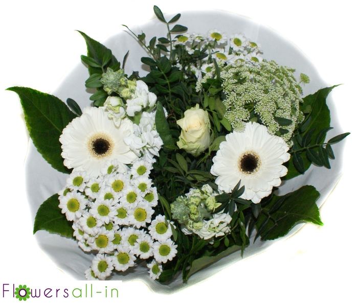 <h4>202307- geel</h4>
