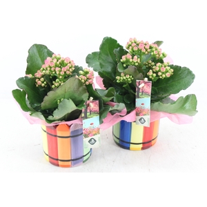 arr2 JS - Ker. Chalk mix pot - roze