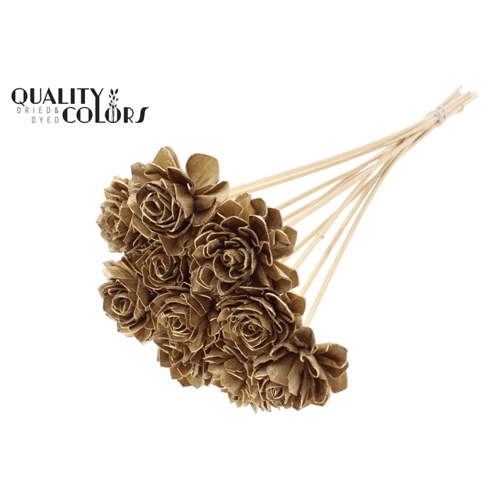 <h4>Shola Dahlia 6cm on stem Antique Gold</h4>