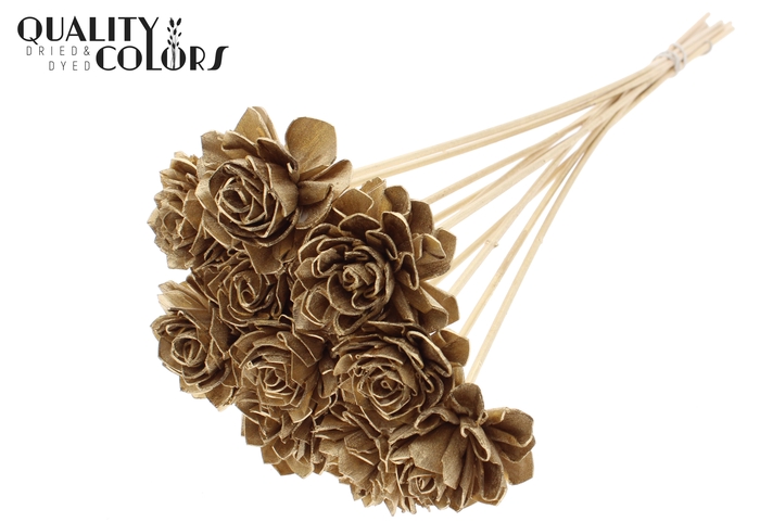 Shola Dahlia 6cm on stem Antique Gold