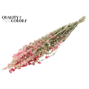 Delphinium Dried per bunch Pink
