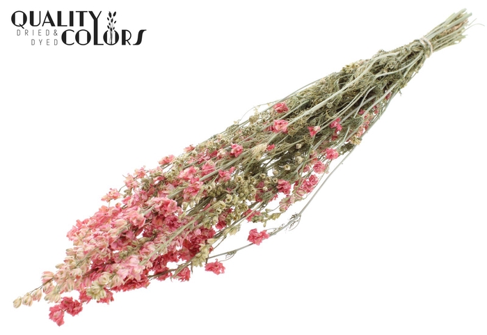 <h4>Delphinium Dried per bunch Pink</h4>