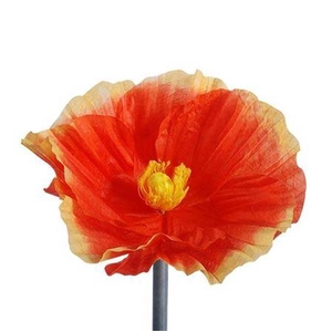 Stem Poppy Flower L50w50h40