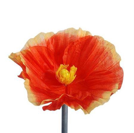 <h4>Stem Poppy Flower L50w50h40</h4>
