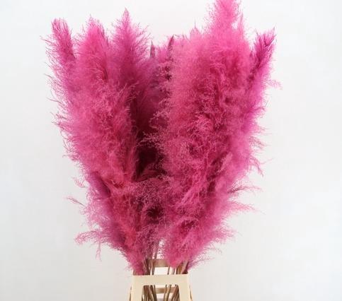 <h4>DF Pampas 130cm L.Pink</h4>