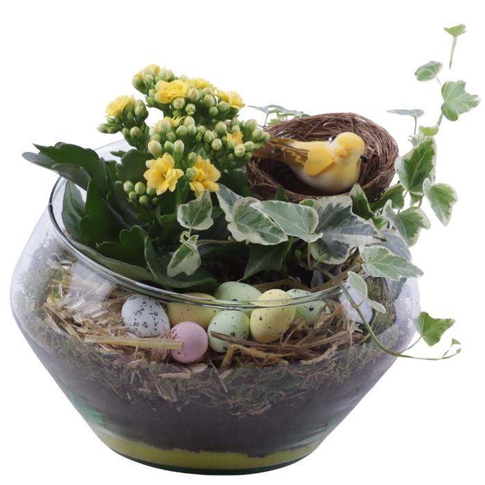 <h4>Easter Arr. Indoor Glass Oblique UFO Vase Ø20cm 2PP</h4>