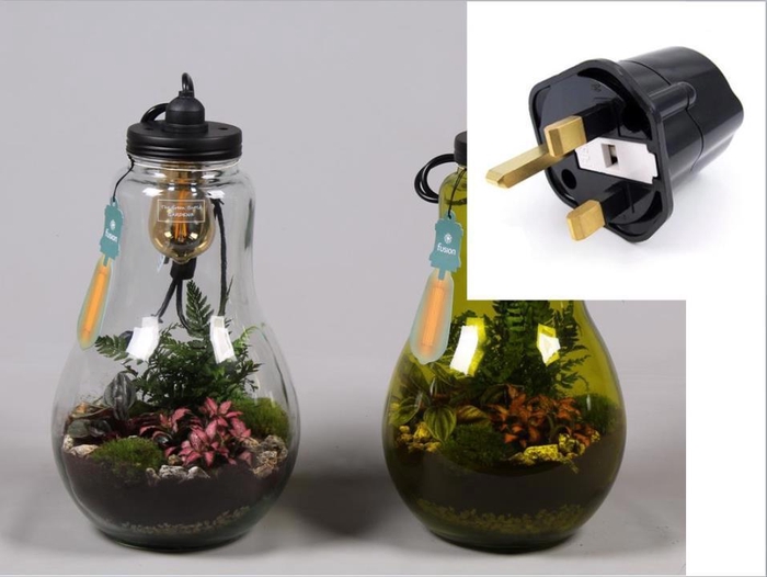 <h4>Glas Terrarium XXL helder met verlichting met Groene Planten en Engelse stekker</h4>