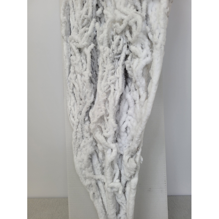 <h4>BETULA BS KLB WIT SNEEUW PER TAK</h4>