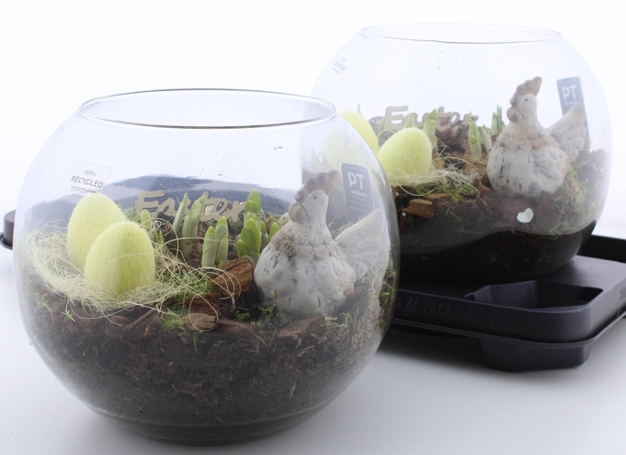 <h4>ARR N TETE A TETE</h4>