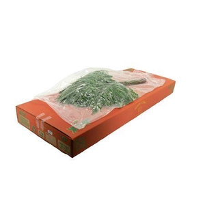 Lederv. Large V P X12