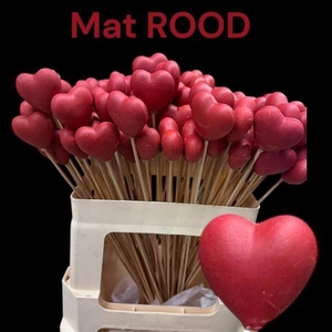 Z ARR HARTJE OP STOK L. ROOD