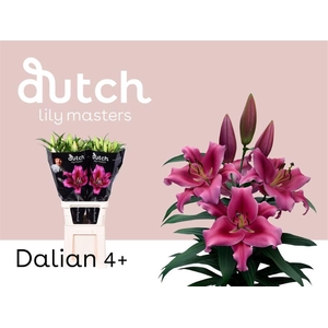 Li Ot Dalian
