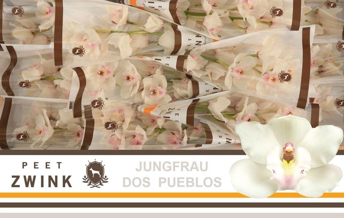 <h4>Cymb T Dos Pueblos</h4>