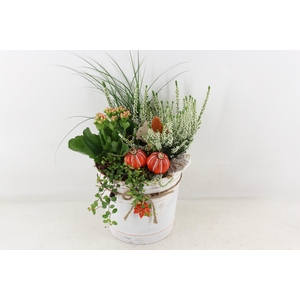 arr4 Outdoor VL - Zink autumn Pot L 250/2